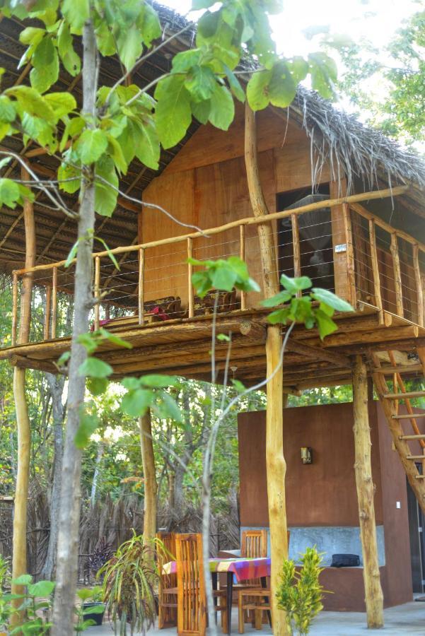 Apartamento Pidurangala View Treehouse Sigiriya Exterior foto
