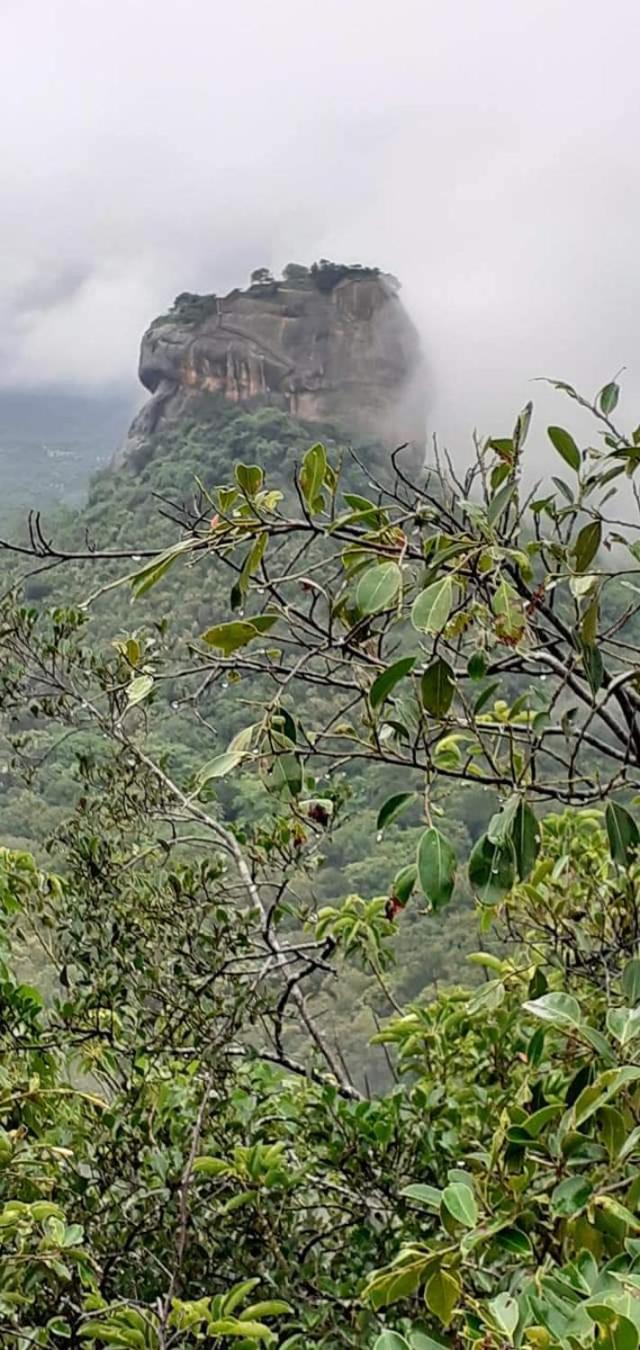 Apartamento Pidurangala View Treehouse Sigiriya Exterior foto