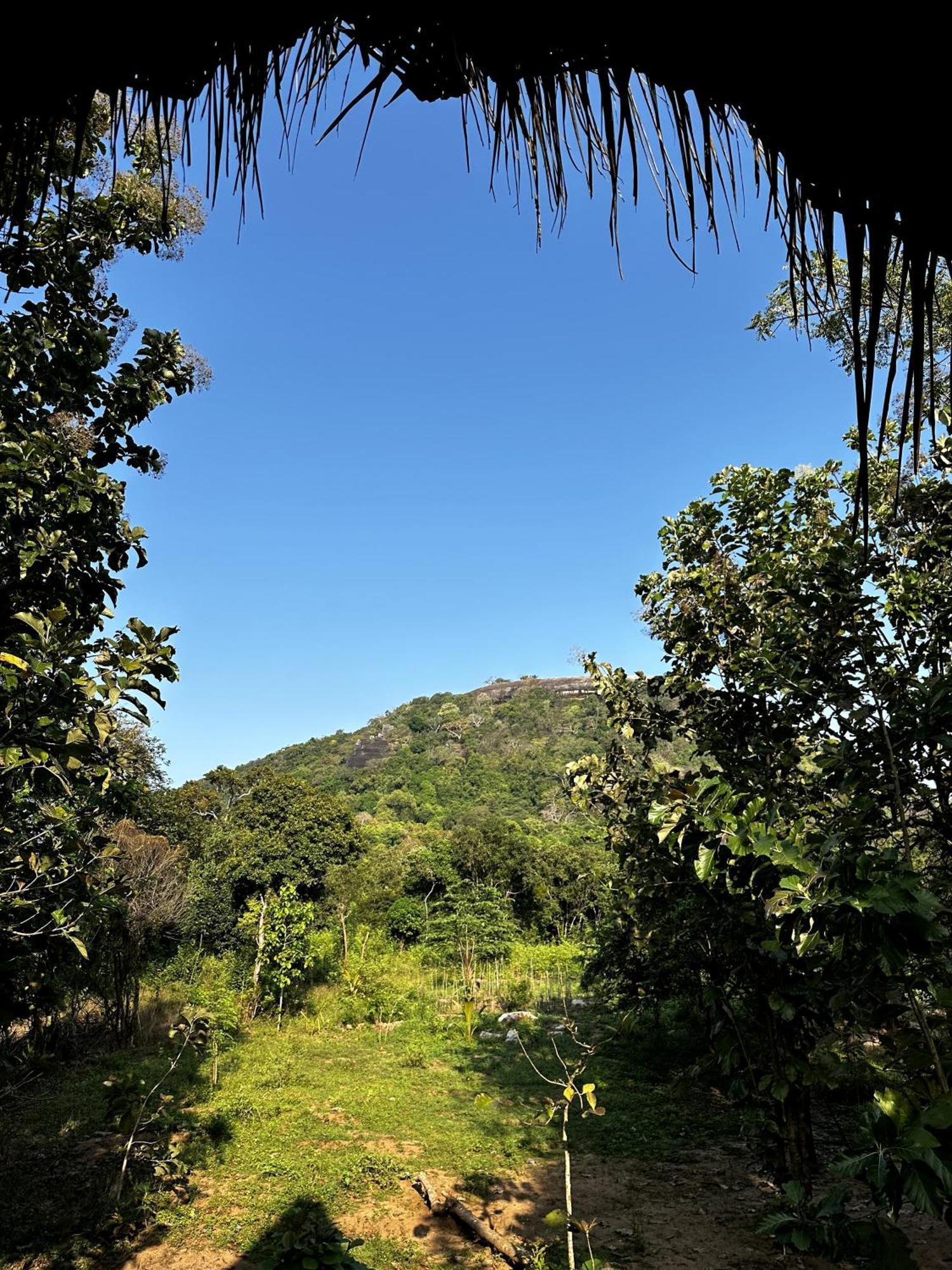 Apartamento Pidurangala View Treehouse Sigiriya Exterior foto