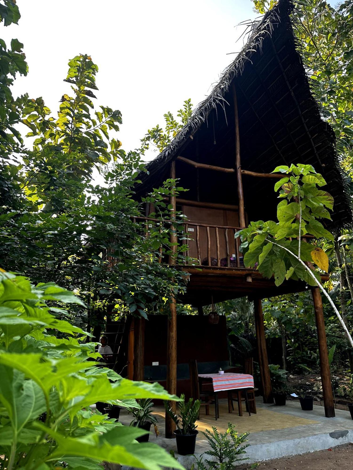 Apartamento Pidurangala View Treehouse Sigiriya Exterior foto