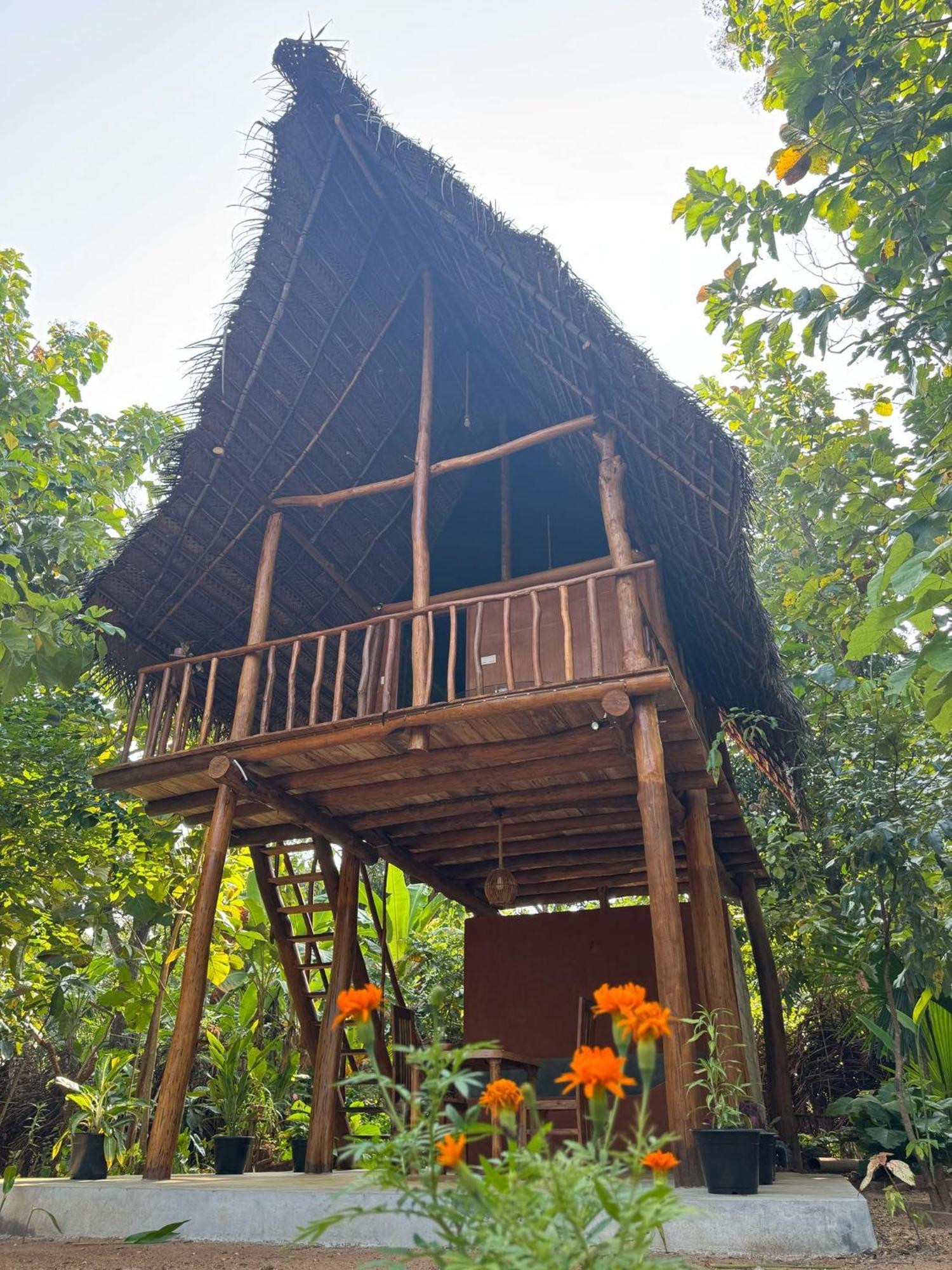 Apartamento Pidurangala View Treehouse Sigiriya Exterior foto