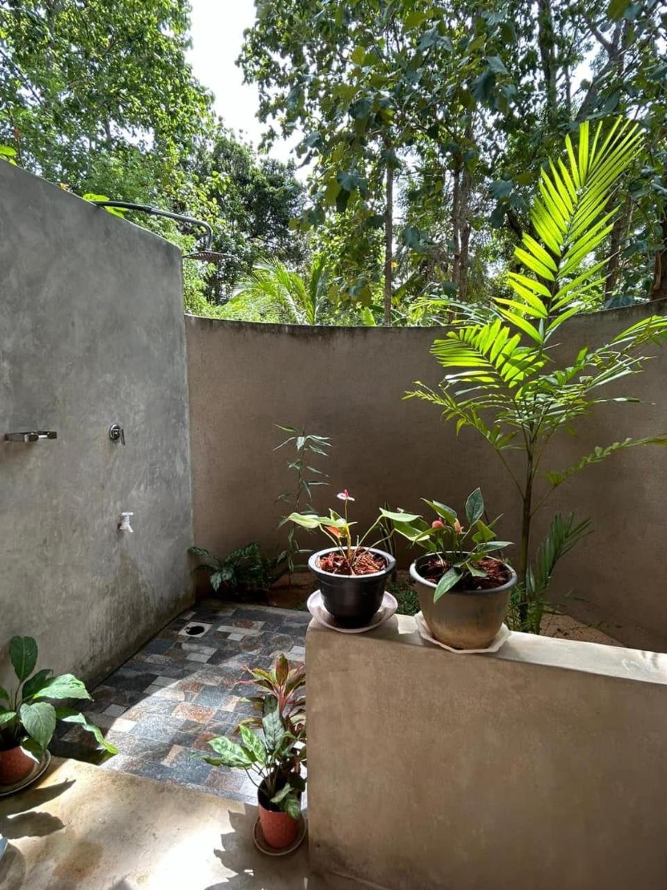 Apartamento Pidurangala View Treehouse Sigiriya Exterior foto