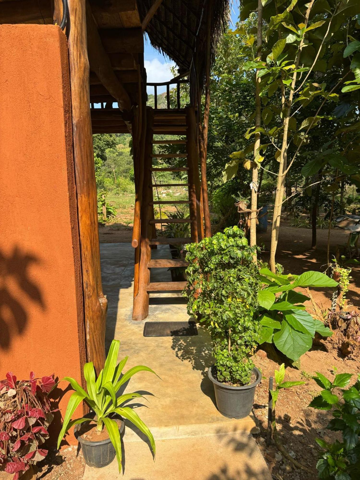 Apartamento Pidurangala View Treehouse Sigiriya Exterior foto